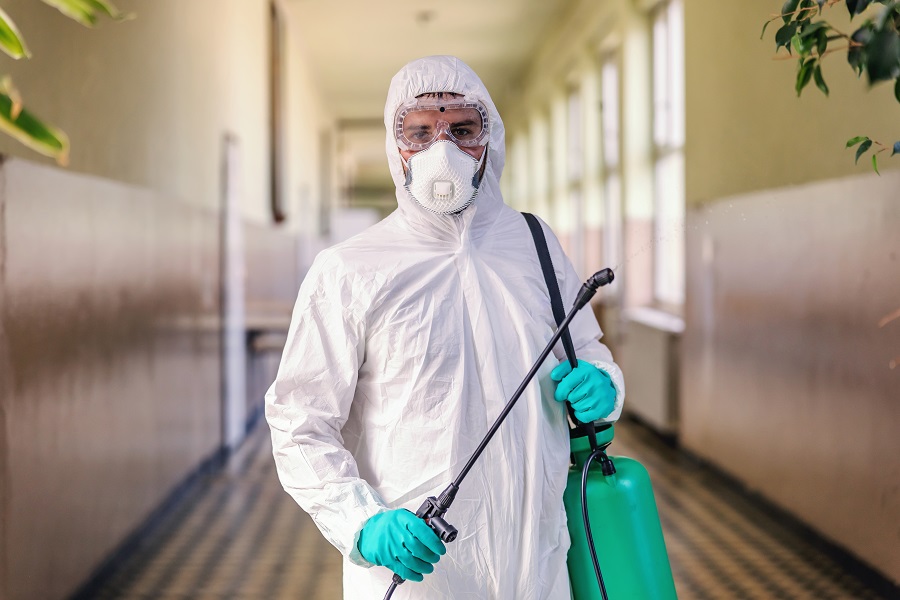 Hawx Pest Control Reviews: Fast Response and Trusted Service